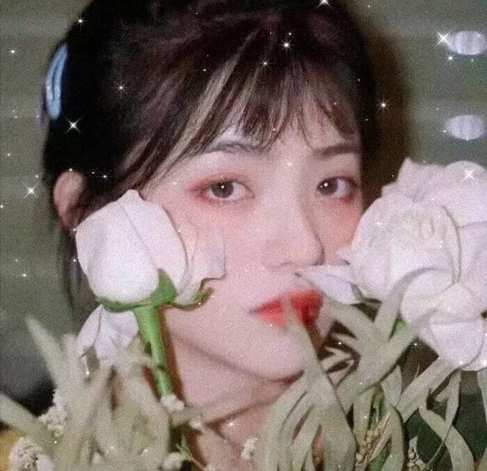 狮童情真封面